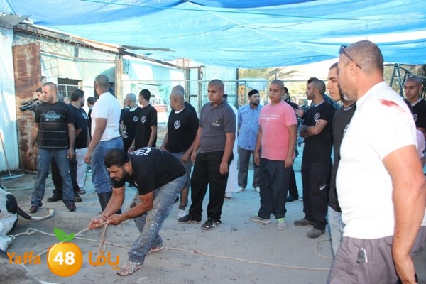 ada7y 116 n1 (9).JPG